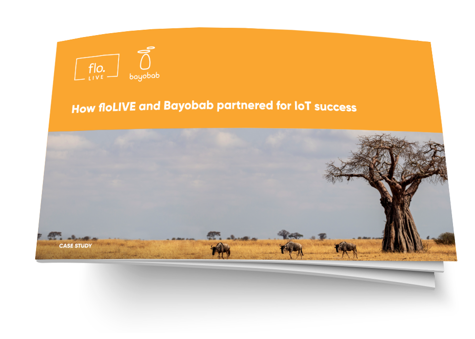 Bayobab case study