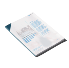 Analyst Report_Kaleido Inteligence